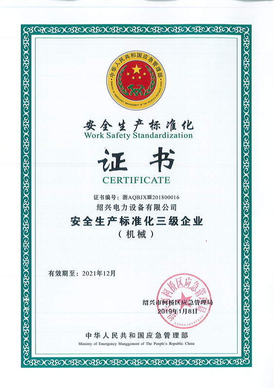 2019.01.08安全三級(jí)標(biāo)準(zhǔn)化 證書(shū)（2019-2021） - 副本.jpg
